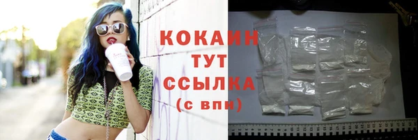 амф Мегион