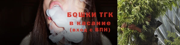 молекула духа Медногорск