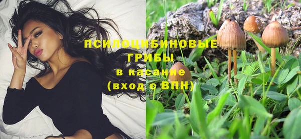молекула духа Медногорск