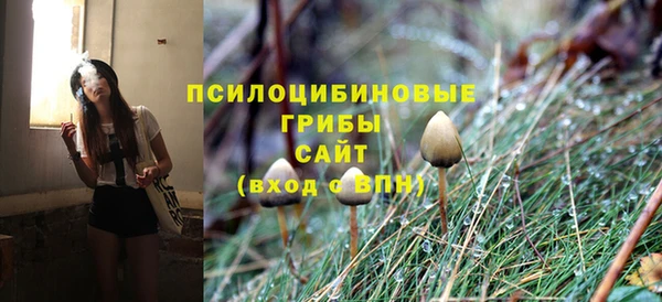не бодяженный Медвежьегорск