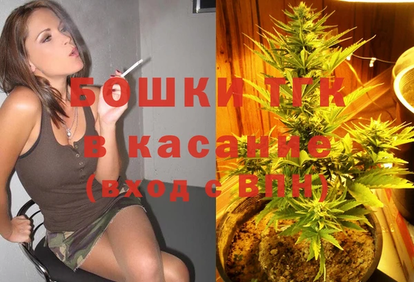 амф Мегион