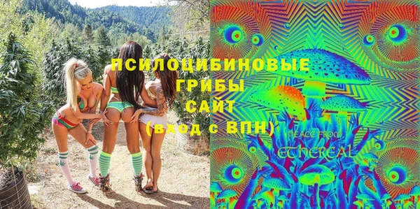 молекула духа Медногорск