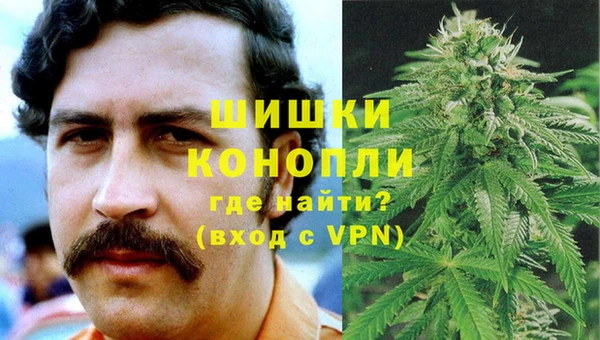 амф Мегион