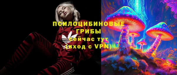 амф Мегион