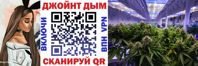 МАРИХУАНА индика  где купить наркотик  KRAKEN как войти  Жуков 